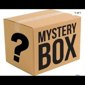 Mystery Box!!! 12 Tops, L and XL Name Brands, EUC